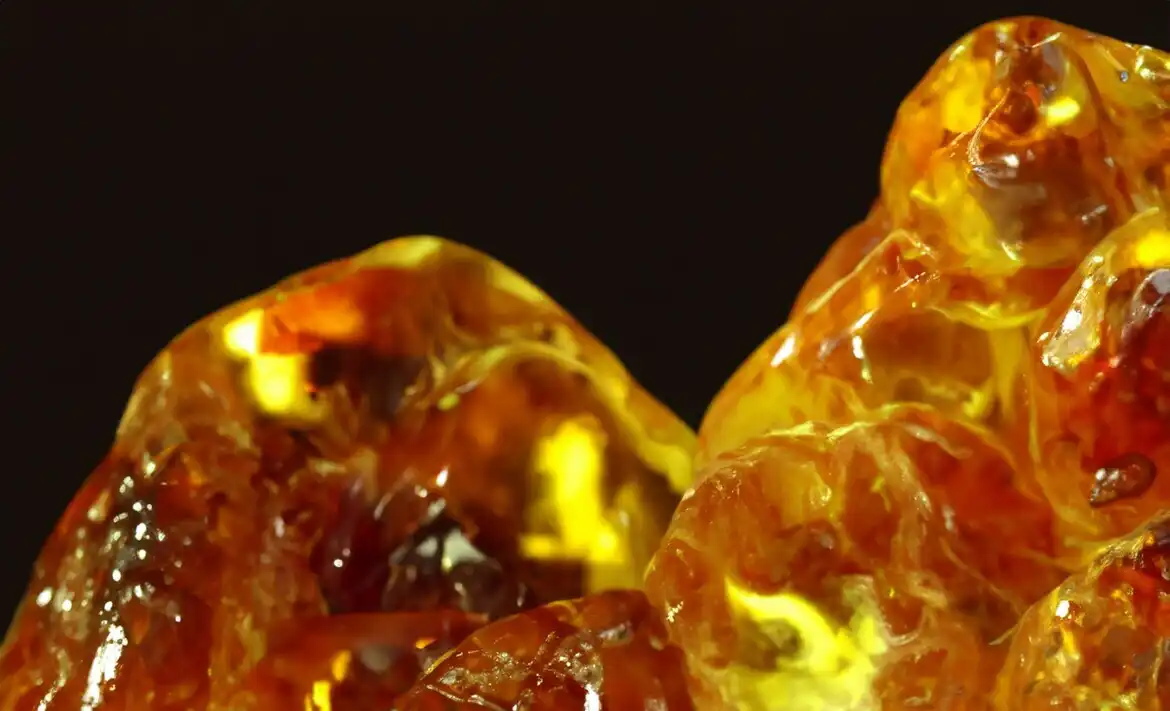 Музей янтаря