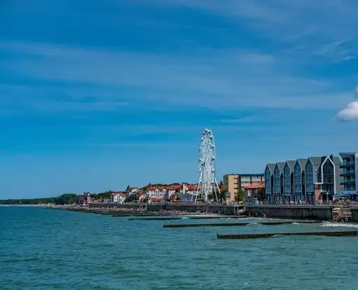 Зеленоградск: курорт и город котов