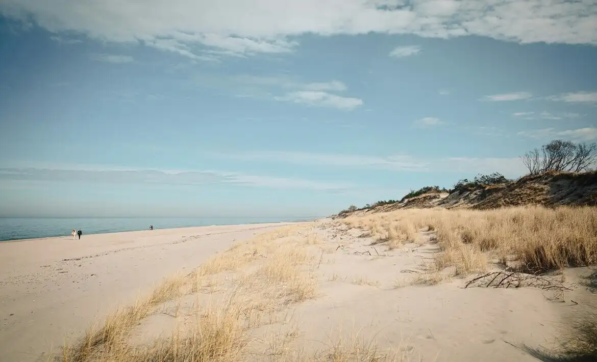 Куршская коса