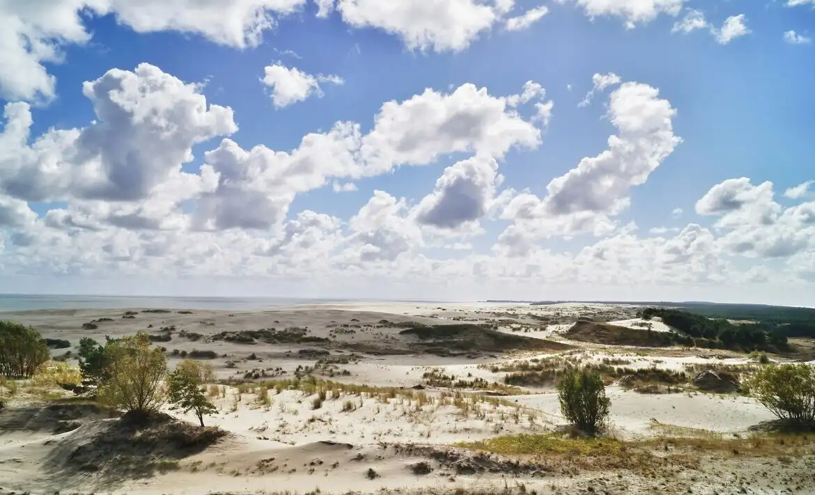 Куршская коса