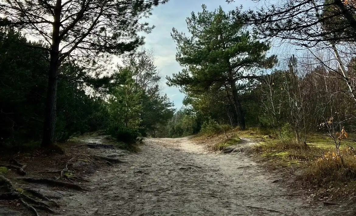 Высота Мюллера