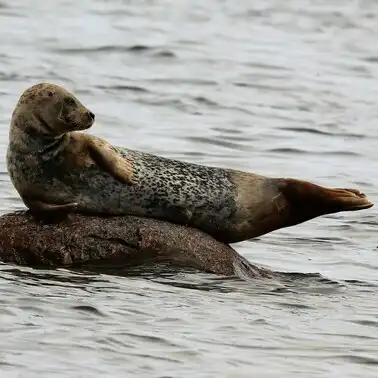 Пляж в Донском