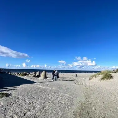 памятник Елизавете