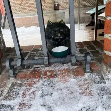 Фридрихсбургские ворота