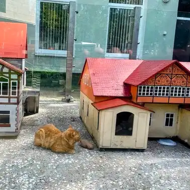 водонапорная башня Зеленоградска