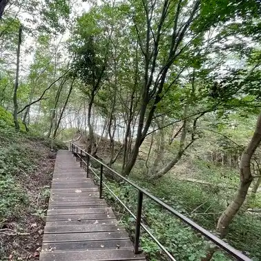 Пляж в Приморье