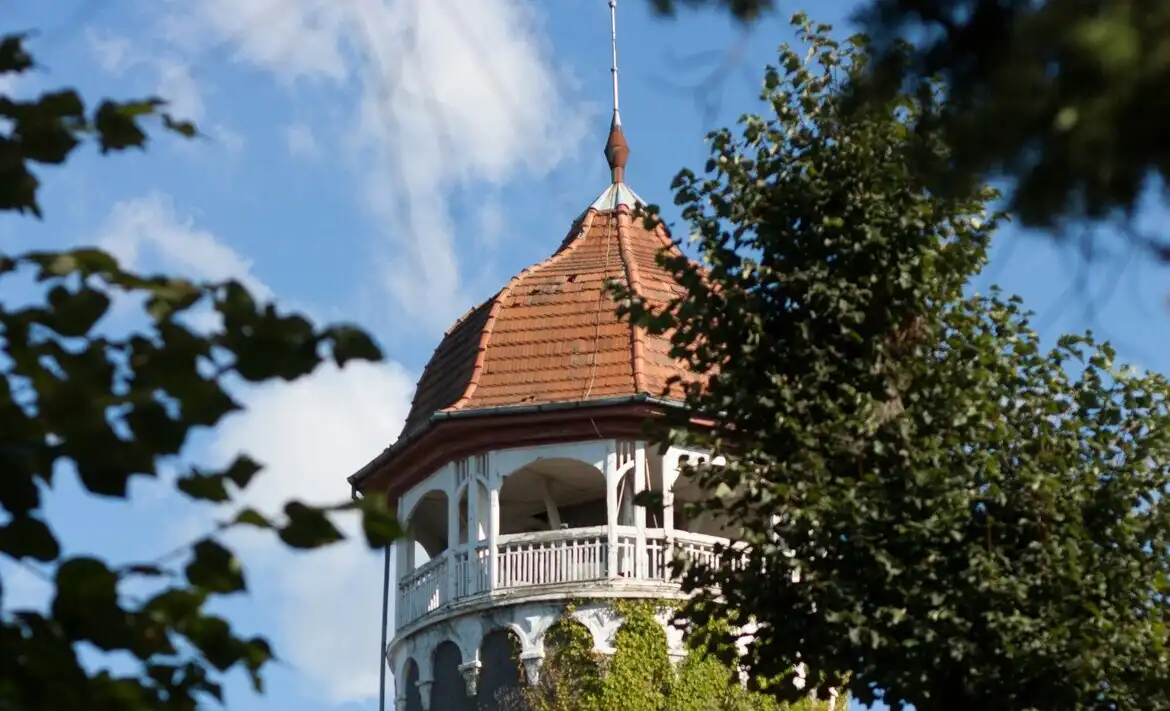 город Светлогорск