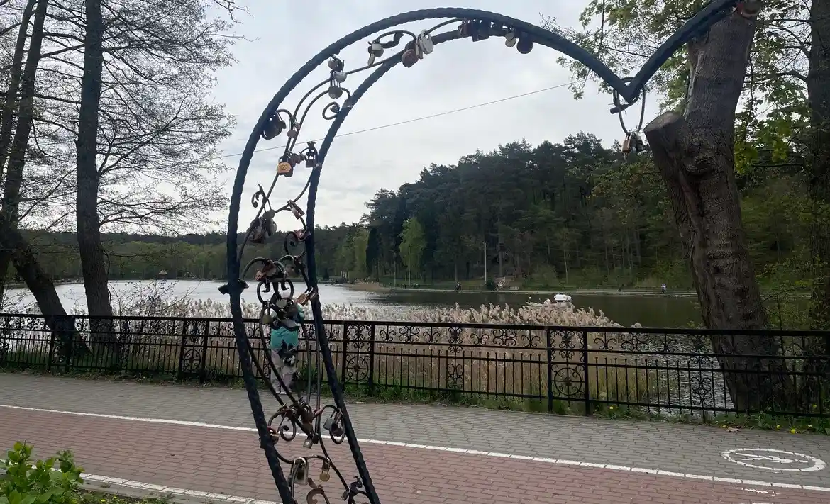 город Светлогорск