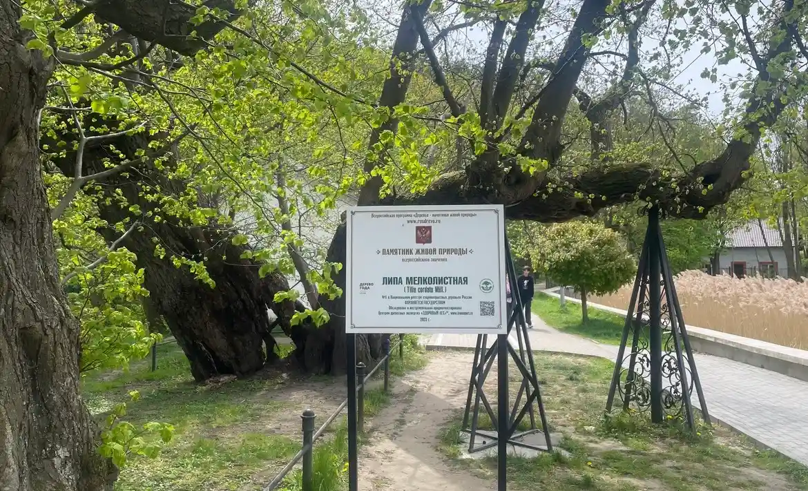 город Светлогорск