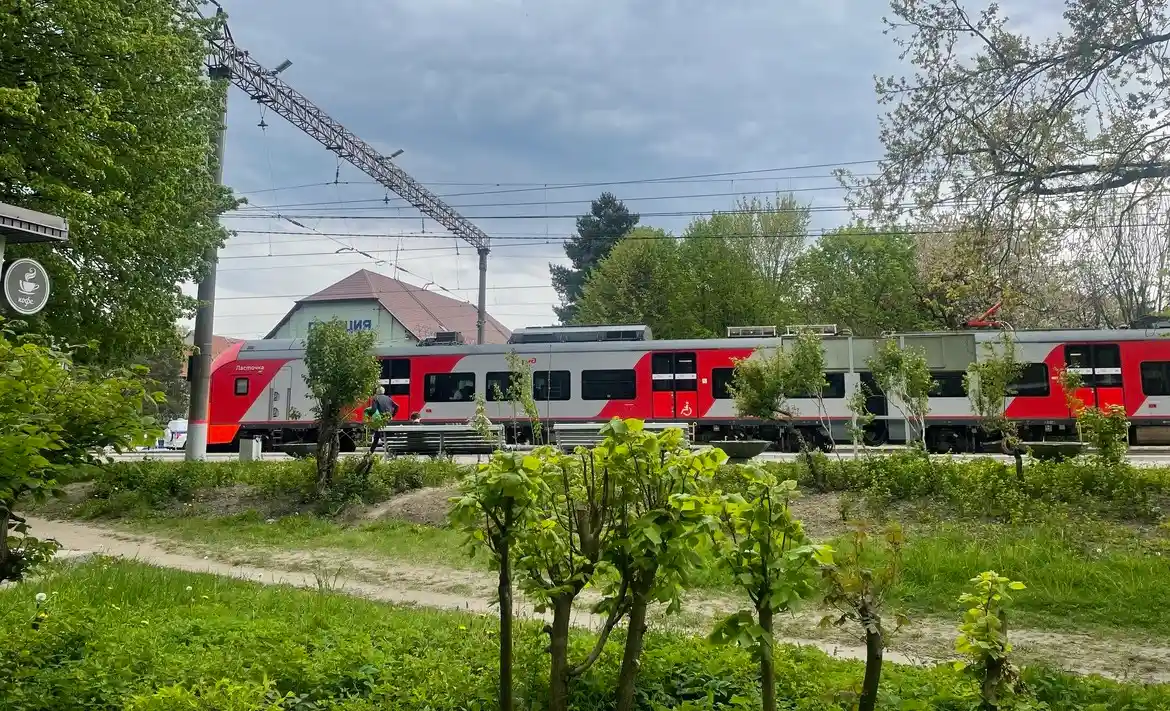 город Светлогорск