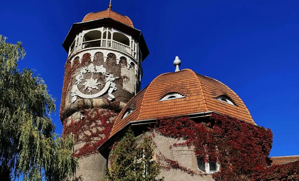 город Светлогорск