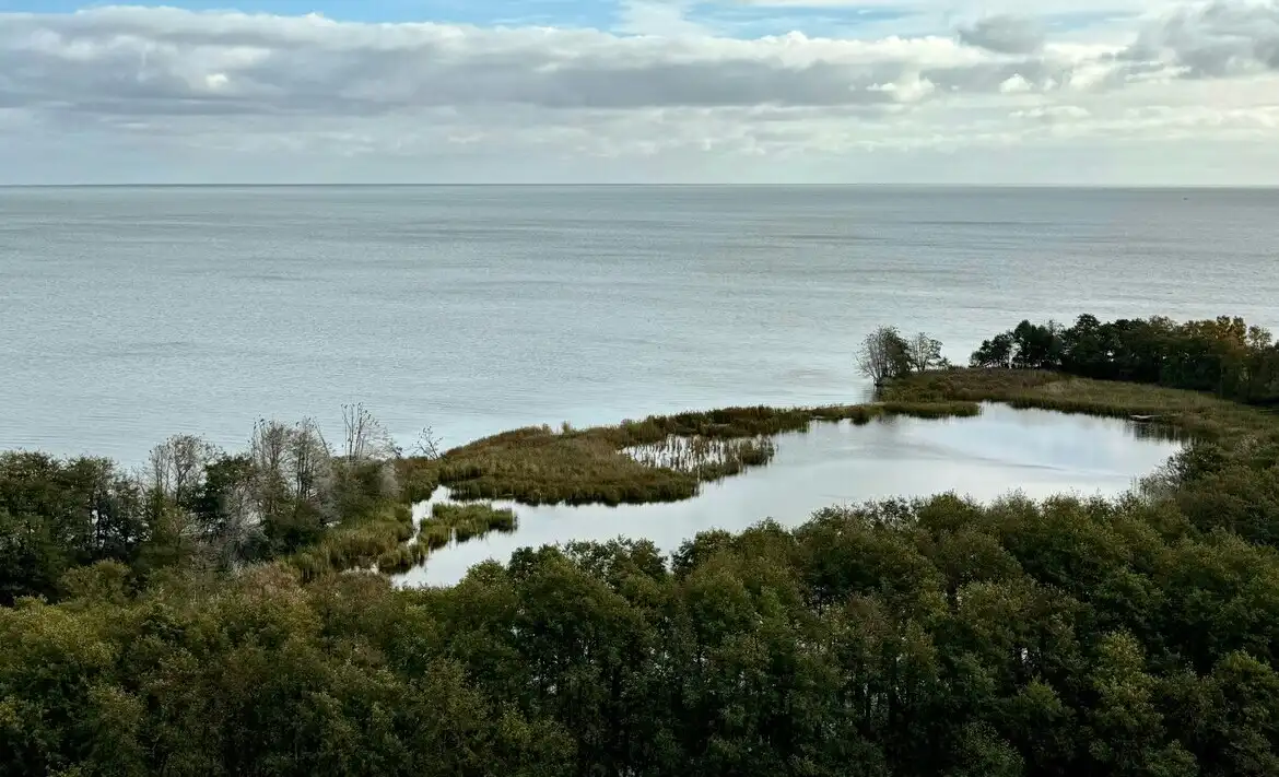 Озеро Лебедь