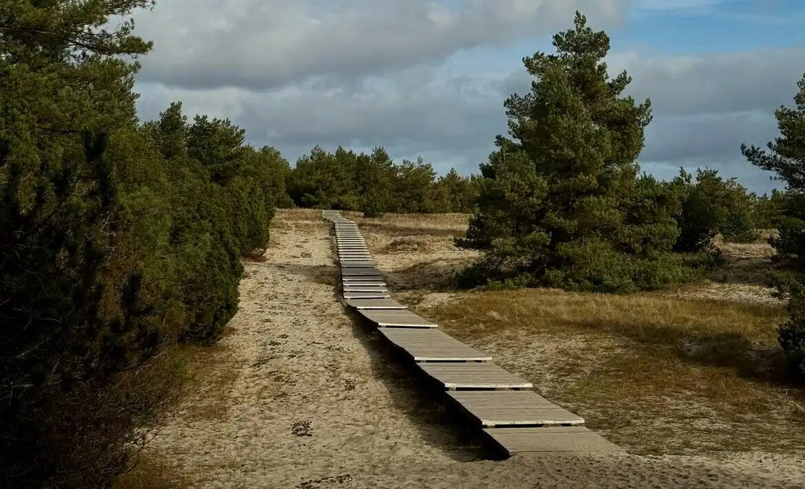 Озеро Лебедь