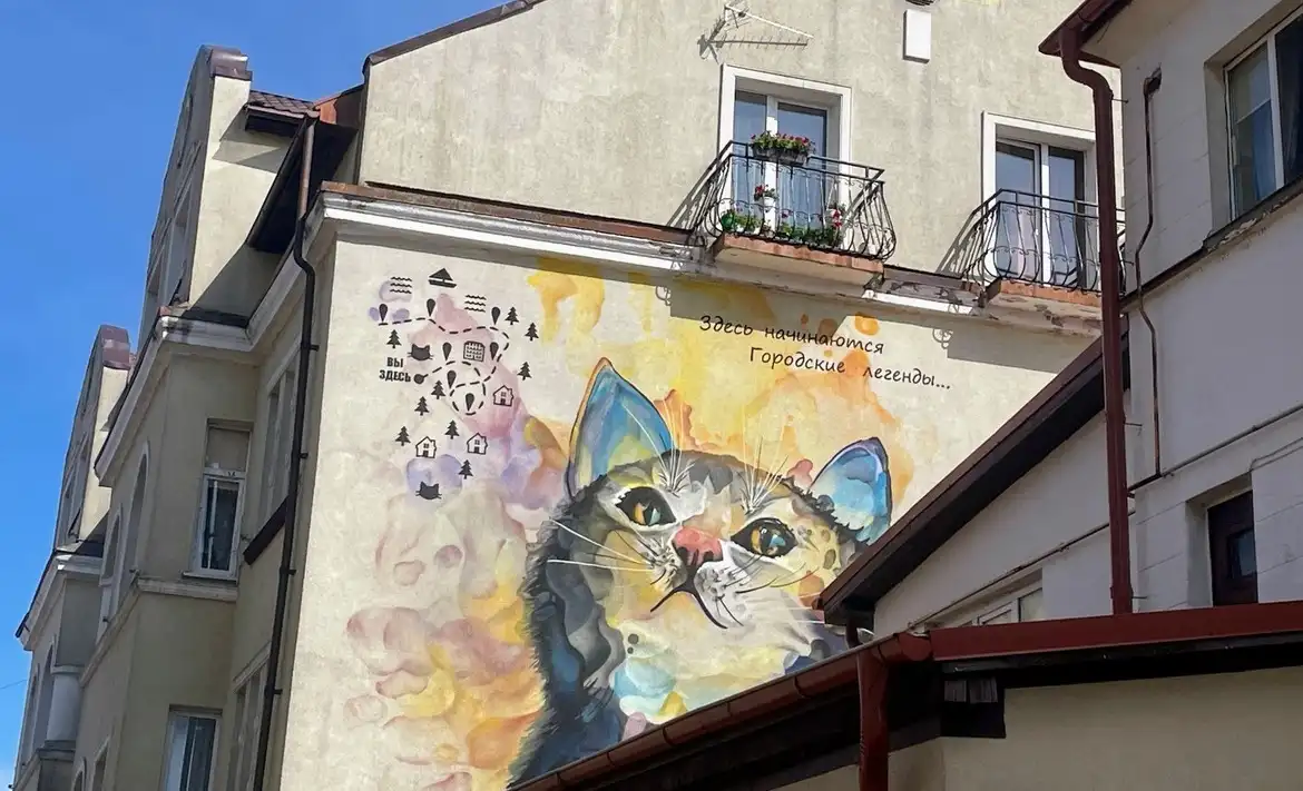 рисунок кота на доме в Зеленоградске