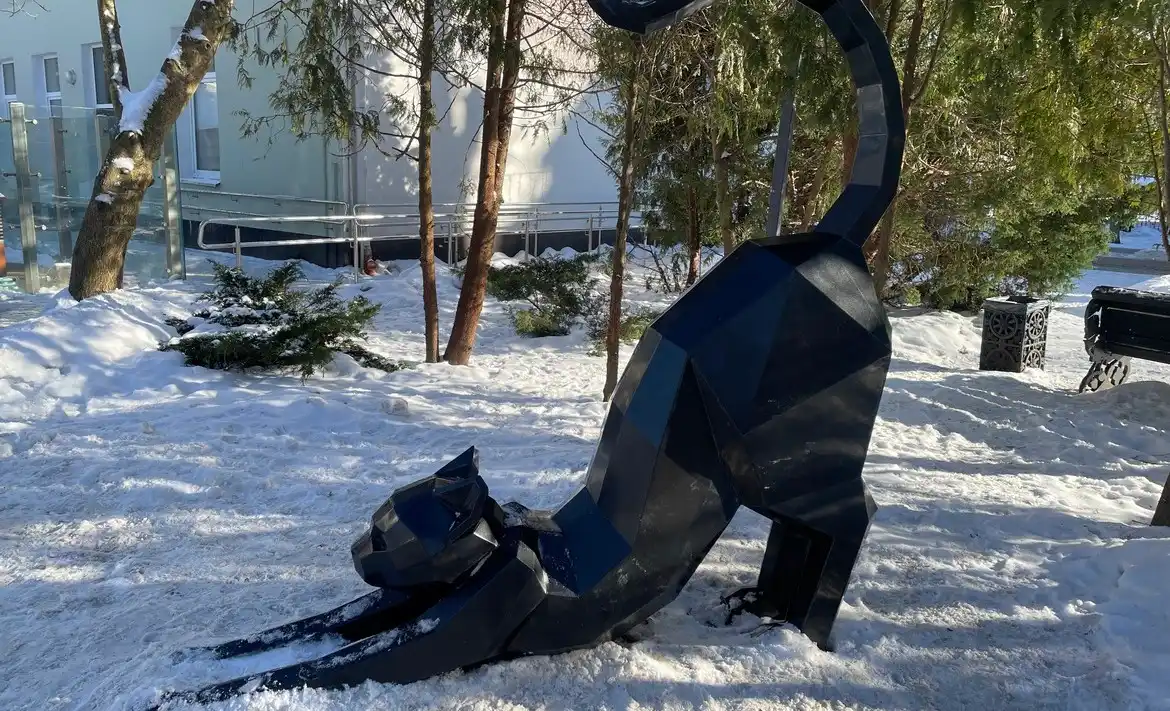 город Зеленоградск