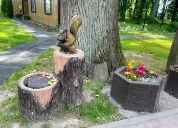 Парк Сенситивного развития
